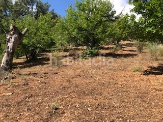 Foto 34db86b1-e603-4c4a-bbfe-144366a042c0. Finca rústica a Cortegana