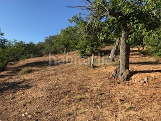 Foto 4473f4ce-6ef3-4df4-a73a-3ffe287fb770. Finca rústica a Cortegana
