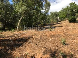 Foto 51c50de6-2981-403f-831e-06c6faef821a. Finca rústica a Cortegana