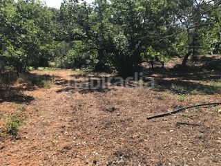 Foto 5d99ac50-3dd5-40d4-bcbe-17847bc64207. Finca rústica a Cortegana