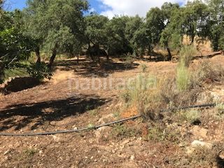 Foto 64a4b3d8-1b1a-44e3-a518-1dc0c38308c3. Finca rústica a Cortegana