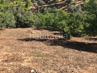 Foto 6c5e0351-532c-44aa-9561-4fd0e5c83df8. Finca rústica a Cortegana