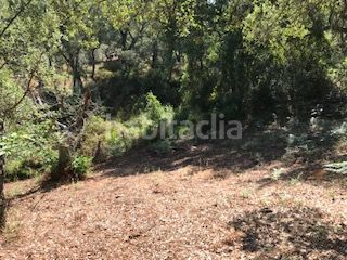 Foto a4766643-66a0-49a3-b0d0-f09991ba3261. Finca rústica a Cortegana