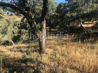 Foto abb79568-7898-42e3-a1fd-7f121d0c3067. Finca rústica a Cortegana