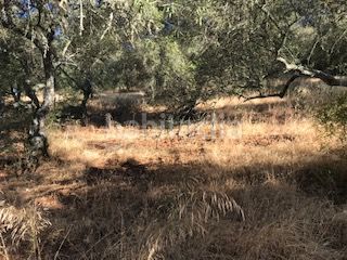 Foto bae91584-78f7-4acc-b25e-03cb0b83c934. Finca rústica a Cortegana