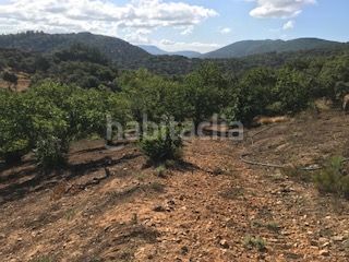 Foto c468301d-aff8-4cb4-9340-73a66c0ba2e7. Finca rústica a Cortegana