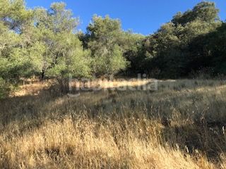 Foto fe5dba3c-cd98-411d-9edc-98df6ab84d8c. Finca rústica a Cortegana