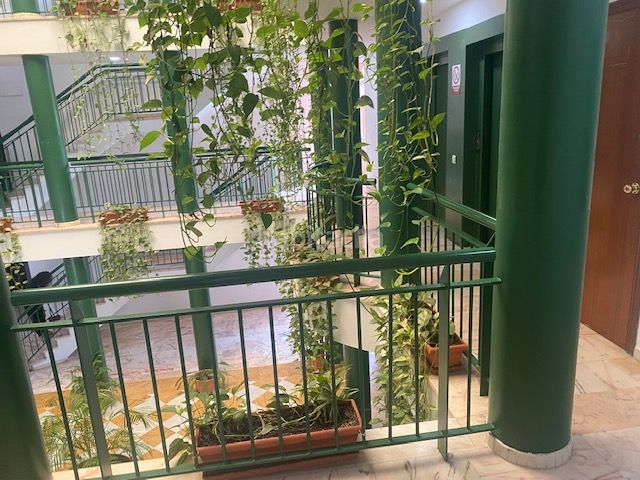 Foto dc9fca80-1b69-44c7-a63f-a851578a8070. Lloguer apartament amb aparcament piscina a Parque Alcosa Sevilla