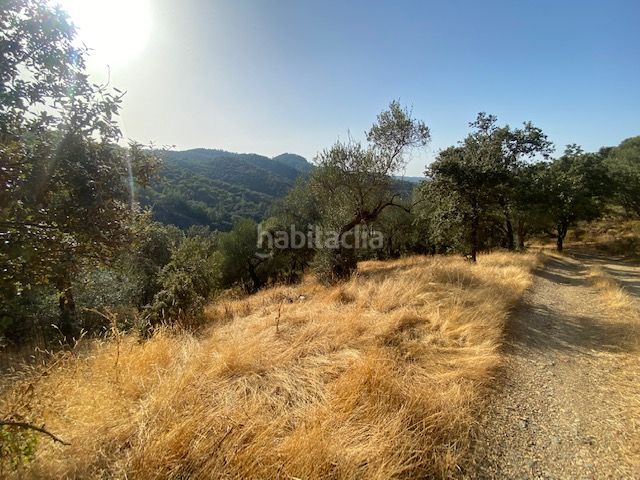 Foto 2a52a88b-e98a-428a-9974-282852dd2794. Finca rústica a n-435 124 a Nava (La)