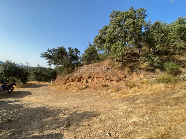 Foto a4b1c603-3fad-4950-9c42-8c72fae4c458. Finca rústica a n-435 124 a Nava (La)