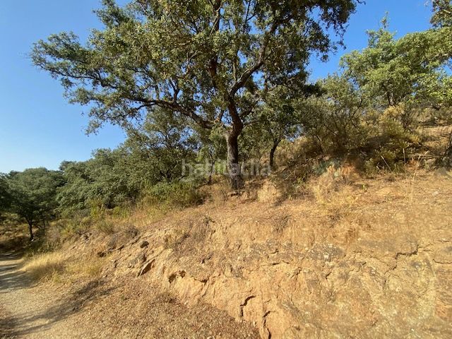 Foto a9921d94-495e-4066-b230-8770ce3e0d0d. Finca rústica a n-435 124 a Nava (La)