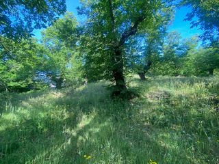Rural plot in Fuenteheridos