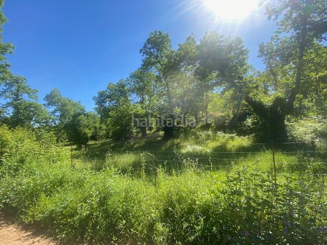 Foto fd2272e5-9494-4e2e-a81c-edd6cc57deb4. Finca rústica a Fuenteheridos