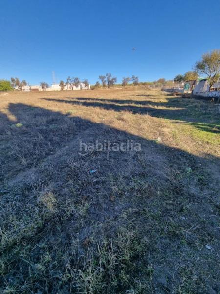 Foto 500bc54f-1cc0-468b-b18e-d0148b62fbd4. Wohngrundstück in Poleares Lucena