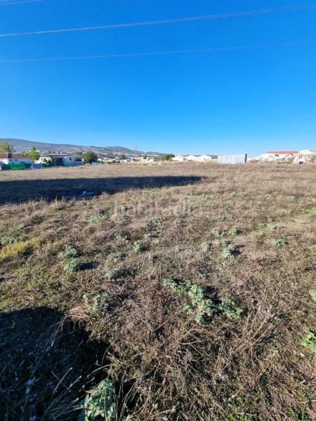 Foto 8d39f05f-110e-4f5b-a54a-2003b22e5b35. Wohngrundstück in Poleares Lucena