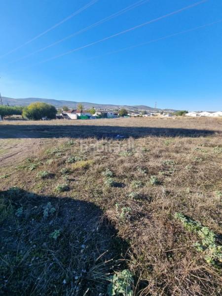 Foto d6eb5e4f-118e-43c0-b959-2456f98239af. Wohngrundstück in Poleares Lucena