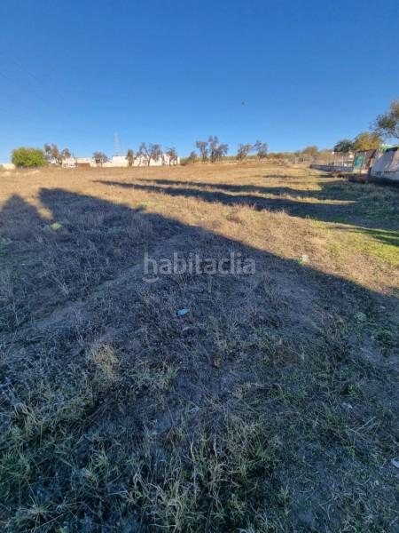 Foto e7233e89-bd5d-4965-9200-c6958845e309. Wohngrundstück in Poleares Lucena