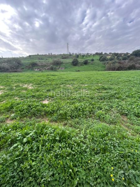 Foto 3056c830-58a4-4de1-a82d-0bcba3cc76be. Alquiler terreno residencial en n/a finca rústica en alquiler en , málaga en Alhaurín de la Torre