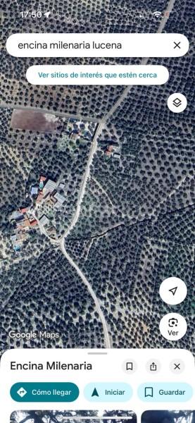 Foto 8acbc557-2471-48b0-81e6-3affe3b5c1cd. Residential plot in Poleares Lucena