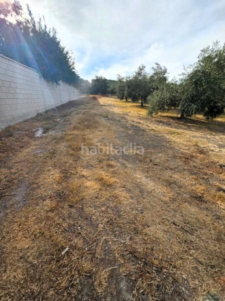 Foto 4edd01ef-5bae-4f1e-af23-61b8a709a3b3. Wohngrundstück in camino de la torca in Poleares Lucena