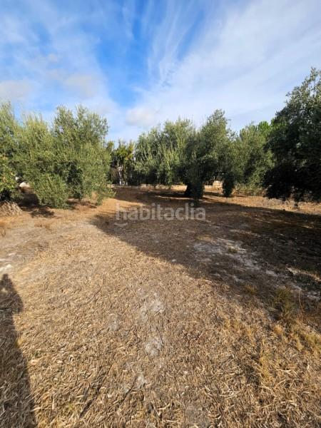 Foto 60a11550-7bbb-44af-803b-b58620813c08. Wohngrundstück in camino de la torca in Poleares Lucena