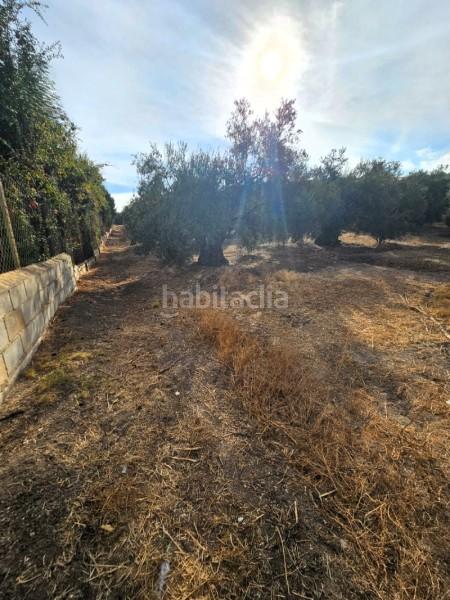 Foto c6f4bdfc-fc54-4d6b-b127-c814165e1449. Wohngrundstück in camino de la torca in Poleares Lucena