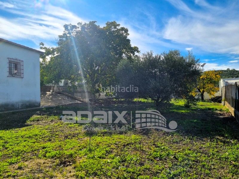 Foto 659c55a0-d3cf-45c5-a243-9c11fef7fb38. Masia amb calefacció a Poleares Lucena