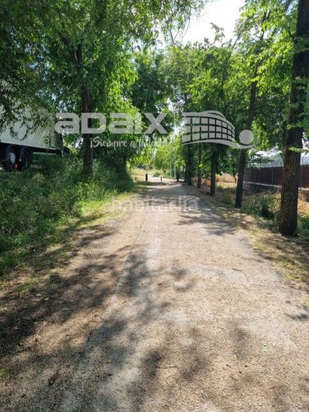 Foto c67d0fc3-9935-4986-b488-c29434356f86. Lloguer pis a Poleares Lucena