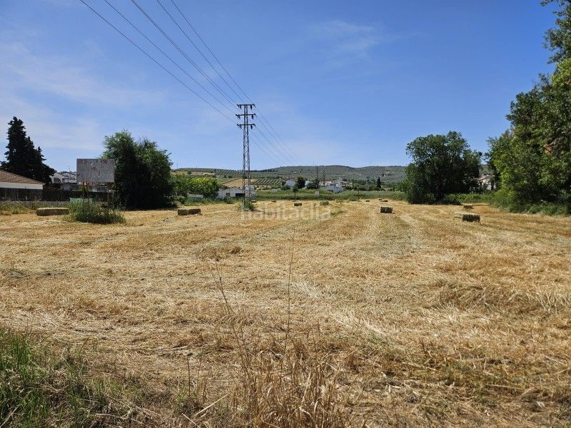 Foto 1c666511-6840-4c7c-80a9-727b02c3f6a3. Terreny residencial a Poleares Lucena