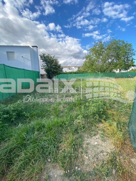 Foto ec0dddd8-f804-435f-ad2e-7b6958df987e. Casa a Rute