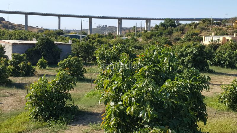 Foto 54f6e215-fc52-40b3-951c-0e5f59a00974. Finca rústica en altos de Estepona Estepona