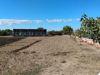 Fondo rustico in La Zubia Ciudad. Terreno la zubia