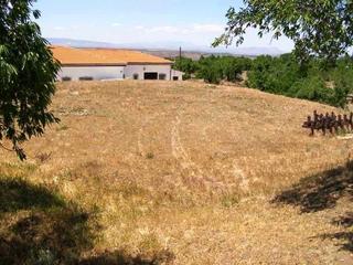 Terreny residencial en Calle buenavista 8. Se vende solar de 430m2 en aldeire