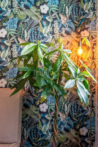 Foto 7e54ba68-cc17-4766-a140-400d7036a97b. Lloguer apartament a calle yuca 6 a Torrenueva Motril