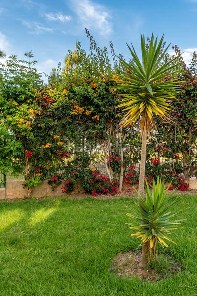 Foto d360d0da-3648-49e6-becc-52a64c3647e8. Miete appartement in calle yuca 6 in Torrenueva Motril