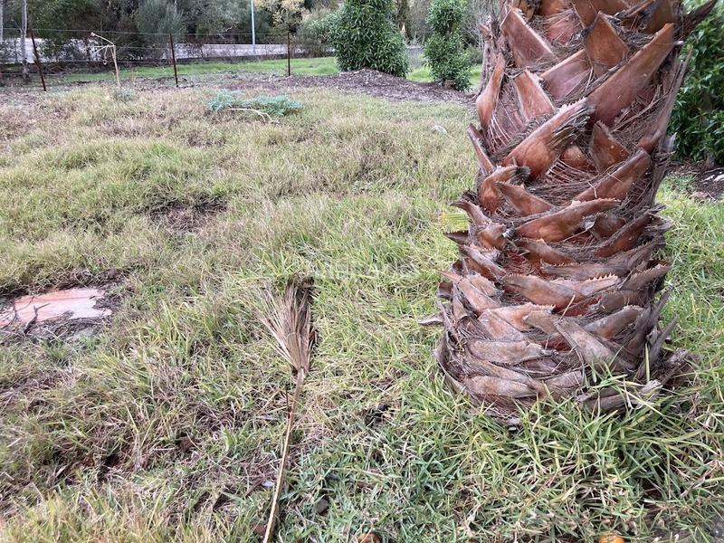 Foto 89baf3e3-d38c-4e76-9554-93cabb013fbd. Haus mit kamin in Barrios (Los)