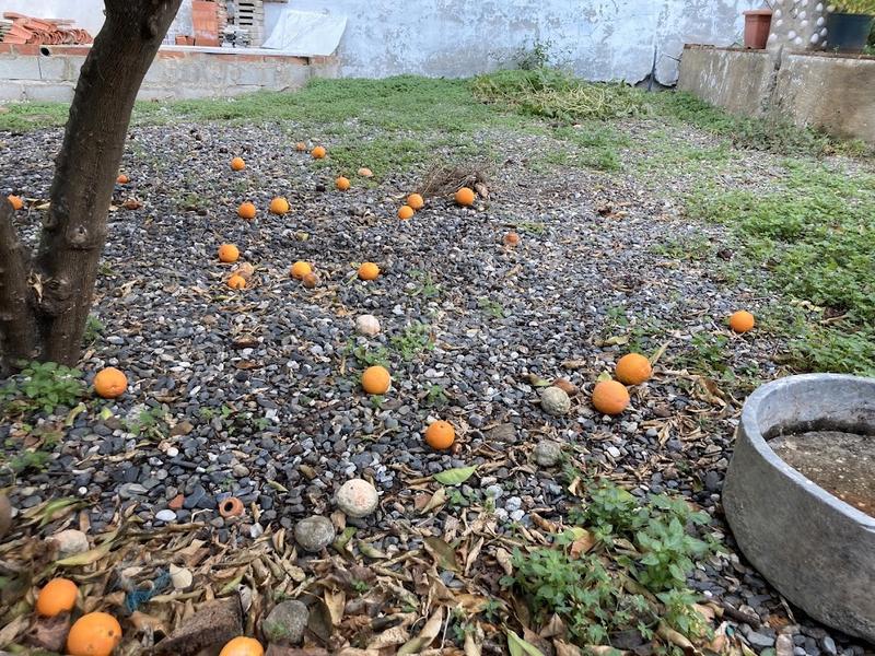 Foto aee072fd-cdda-4434-ae7b-05c191c3a90d. Haus mit kamin in Barrios (Los)