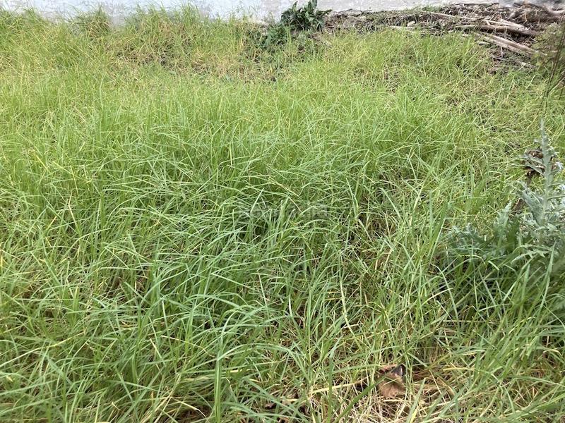 Foto ef073fed-fac5-496e-930f-4831c0276bdc. Haus mit kamin in Barrios (Los)