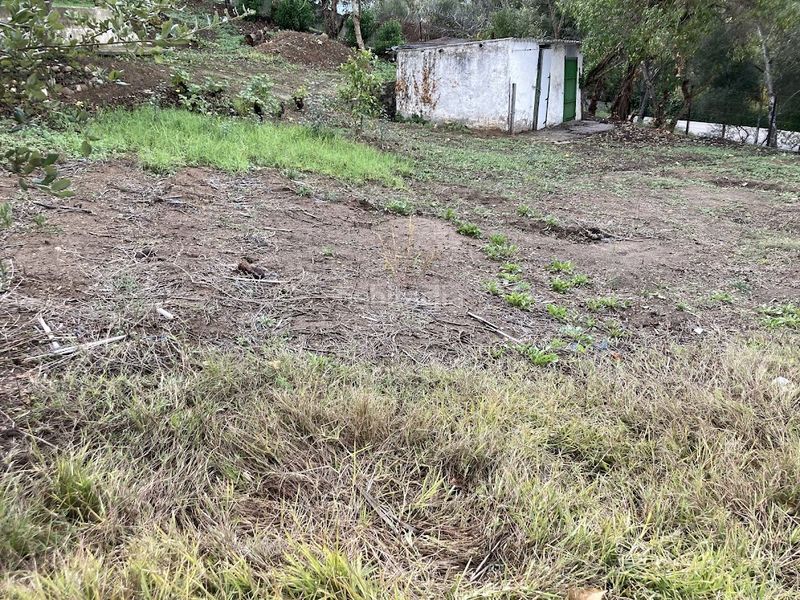 Foto 04bf321f-0c64-4266-9370-0c6cf0f4fac6. Terreny residencial a Barrios (Los)