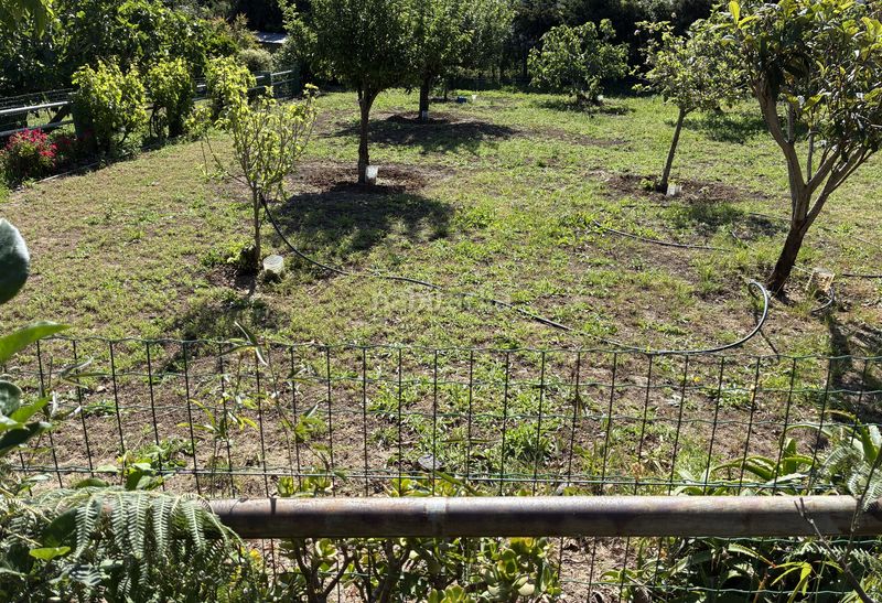 Foto 96bc0be5-878b-4aaf-a70f-5c5f8a098146. Casa amb xemeneia aparcament piscina a Barrios (Los)