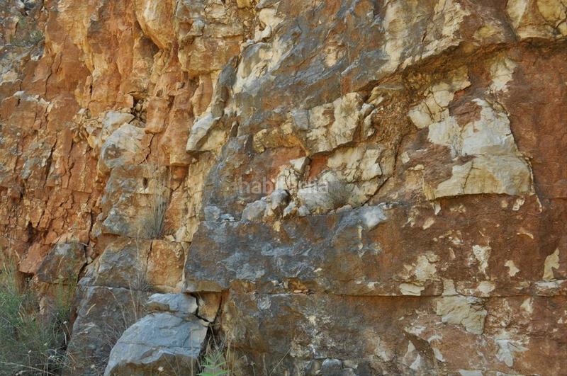 Foto 035d7af8-c3d7-409e-8a5c-f227cd8cbce4. Fondo rustico in camí del barranc de la llet 26 in Tortosa