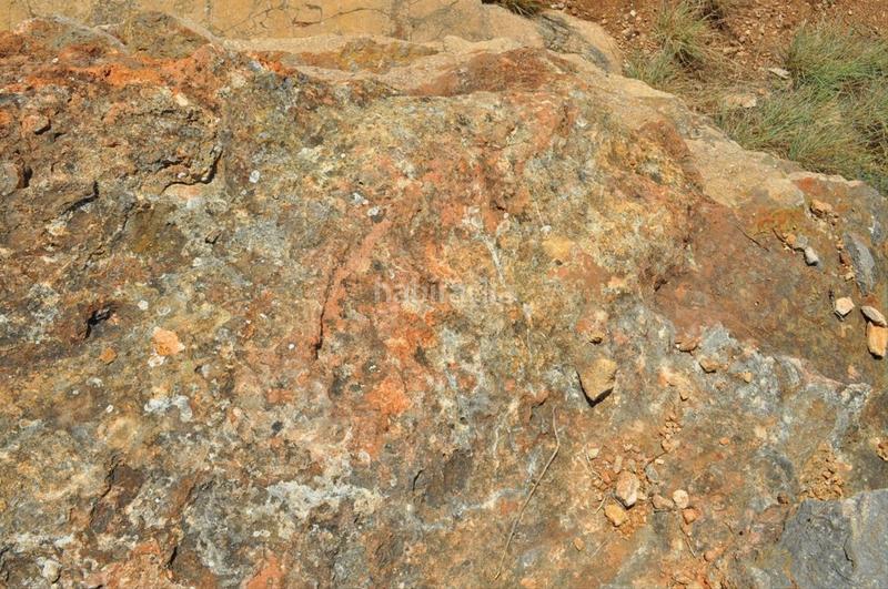 Foto 03b4da13-3331-4639-ba98-8bd8f8812e9b. Fondo rustico in camí del barranc de la llet 26 in Tortosa