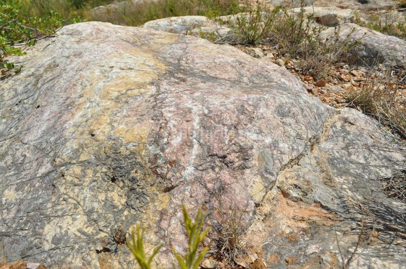 Foto 047ee545-23ca-413b-9ba8-bc9465576636. Fondo rustico in camí del barranc de la llet 26 in Tortosa