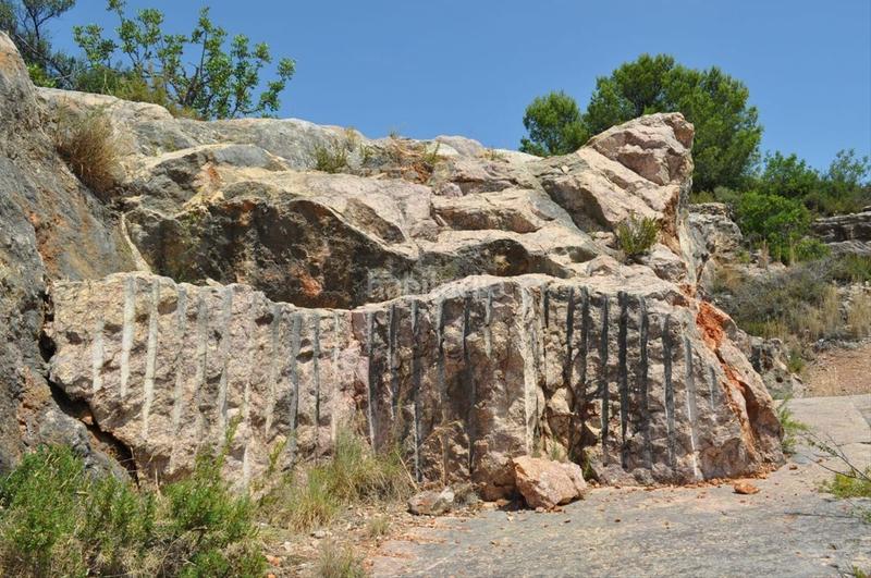 Foto 066177a3-2456-421c-b4d0-1f2d5ce50498. Fondo rustico in camí del barranc de la llet 26 in Tortosa