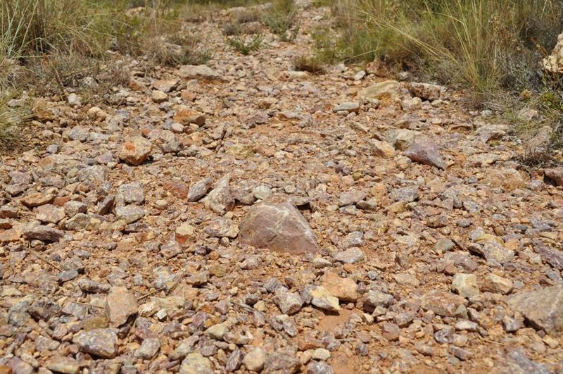 Foto 08d83499-7b88-4b61-8e78-d08cef53b01d. Fondo rustico in camí del barranc de la llet 26 in Tortosa