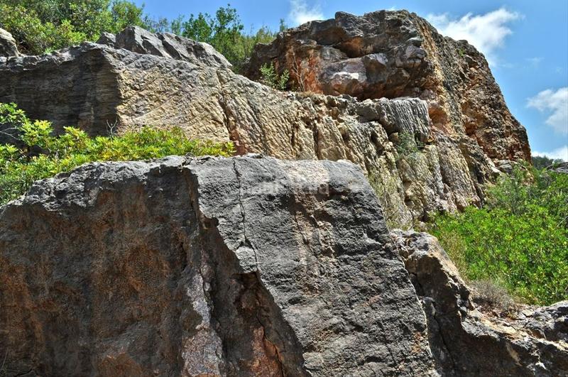 Foto 0acf4f06-8313-4587-b71f-1c3fff06e25b. Fondo rustico in camí del barranc de la llet 26 in Tortosa