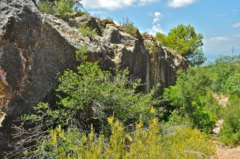Foto 0eea2e69-cd21-405b-8c5b-cc38079e726e. Fondo rustico in camí del barranc de la llet 26 in Tortosa