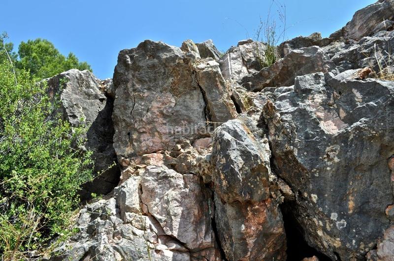 Foto 0f66ce74-5bb4-4f08-8e25-6ed3b3e32ce1. Fondo rustico in camí del barranc de la llet 26 in Tortosa