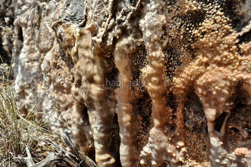 Foto 11d631bc-344c-4403-bee7-433f7a9caaee. Fondo rustico in camí del barranc de la llet 26 in Tortosa