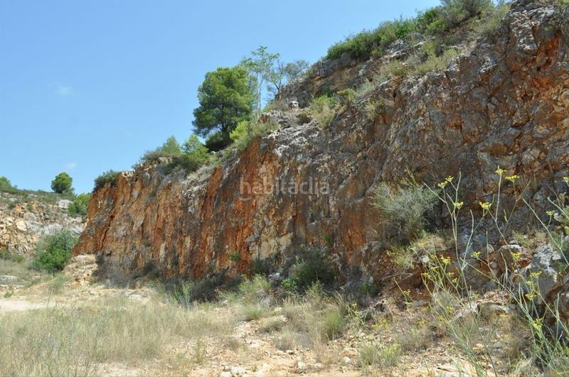 Foto 11f772fc-f3d5-43e8-b268-215b7d768d27. Fondo rustico in camí del barranc de la llet 26 in Tortosa